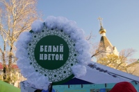 В Хабаровске прошла благотворительная акция «Белый цветок»