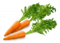 Трудный путь ко спасению или разговоры о морковке