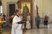 IMG_7515.jpg